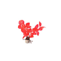 Trendy Retail Artificial Water Plant Hot Red Grass for Aquatic Fish Tank Aquarium Plastic Decor Ornament